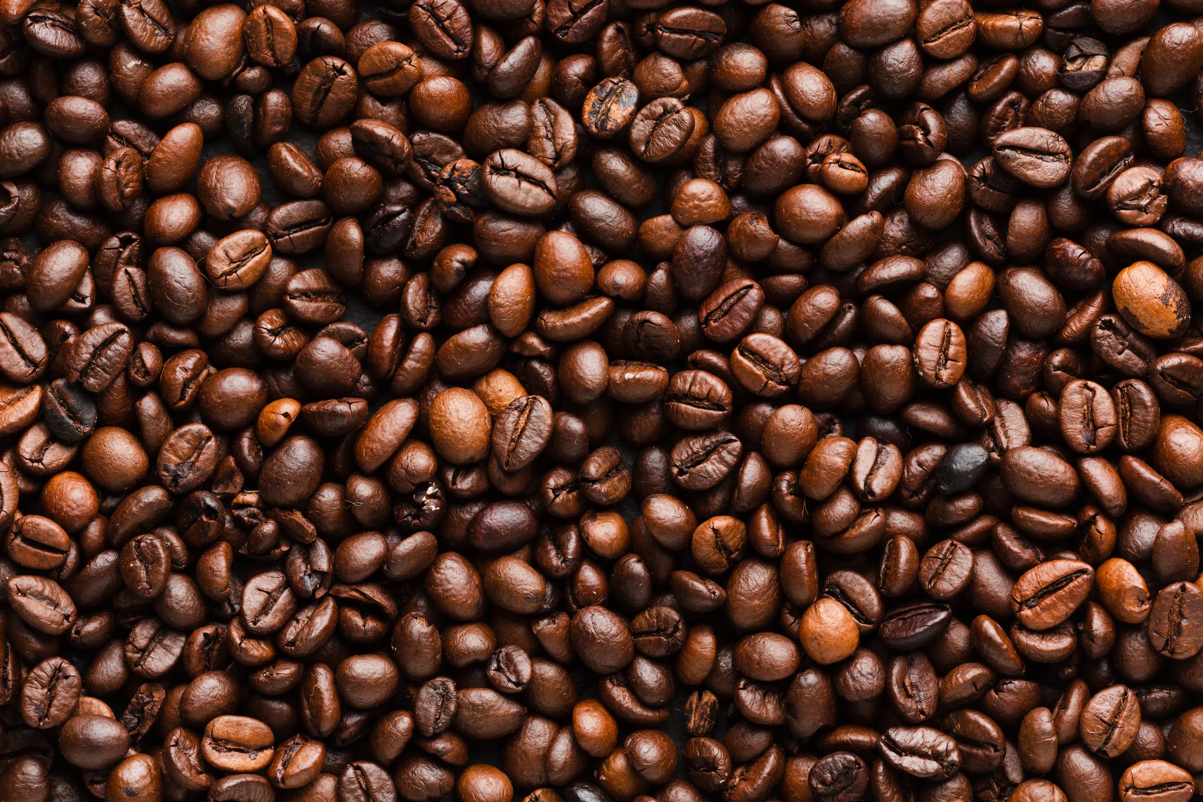 Koffiebonen Kiezen: Zo Vind Je de Juiste Branding en Smaak